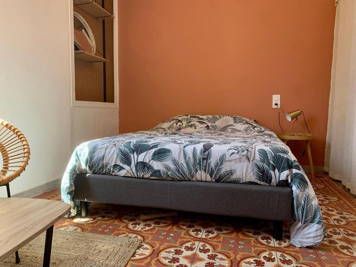 Climatise Avec Wi-fi Et Netflix - Fac, Gare & Centre A Pied Apartment